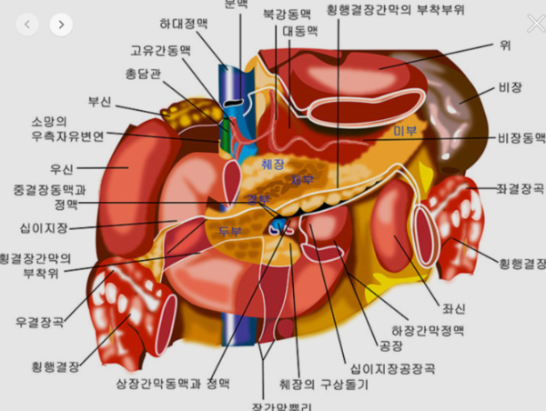 생존율 낮은 췌장암 예방법