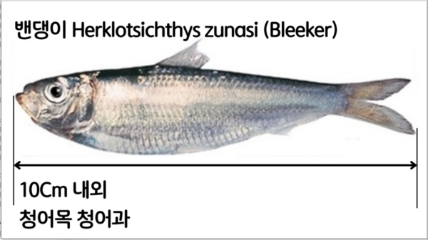 금천교회 성도 여러분! 이순창 총회장님! 금천교회에 혼란을 주는 주범이 충북노회입니다.